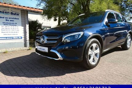 Mercedes-Benz GLC 350 Gebrauchtwagen