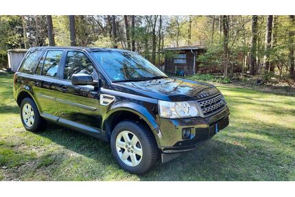 Land Rover Freelander Gebrauchtwagen