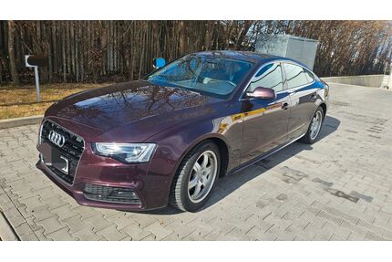 Audi A5 Gebrauchtwagen