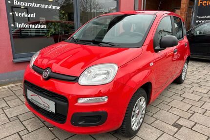 Fiat Panda Gebrauchtwagen