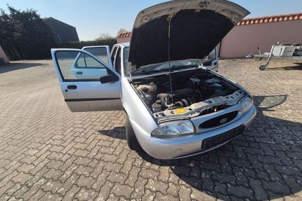 Ford Fiesta Gebrauchtwagen