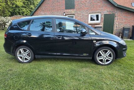Seat Altea Gebrauchtwagen
