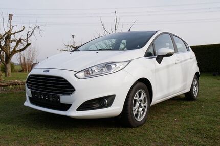 Ford Fiesta Gebrauchtwagen