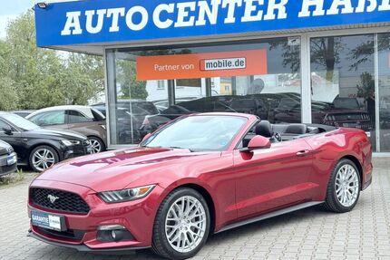 Ford Mustang Gebrauchtwagen