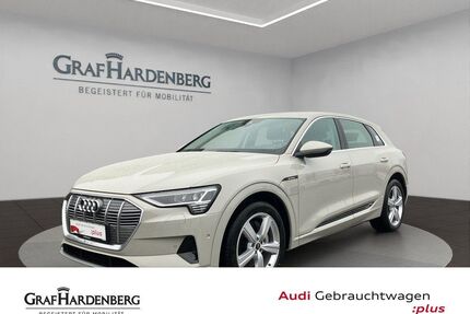 Audi e-tron Gebrauchtwagen