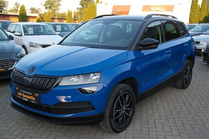 Skoda Karoq Gebrauchtwagen
