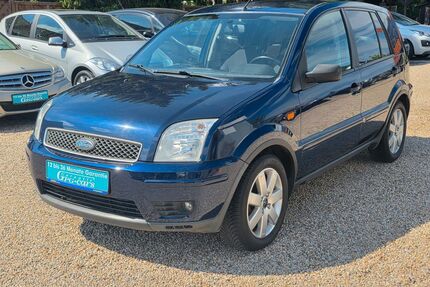 Ford Fusion Gebrauchtwagen