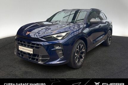 Cupra Terramar Gebrauchtwagen