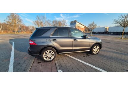 Mercedes-Benz ML 350 Gebrauchtwagen