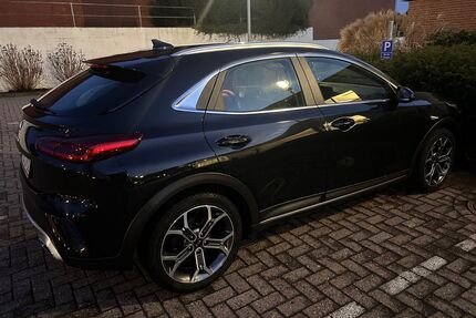 Kia XCeed Gebrauchtwagen