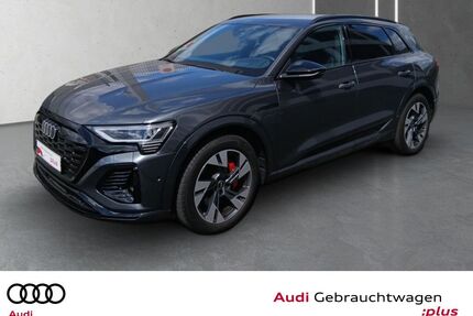 Audi Q8 e-tron Gebrauchtwagen