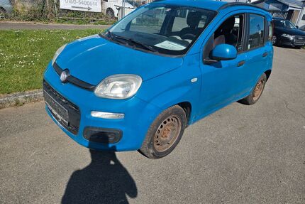 Fiat Panda Gebrauchtwagen