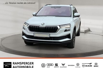 Skoda Karoq Gebrauchtwagen