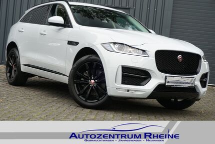 Jaguar F-Pace Gebrauchtwagen