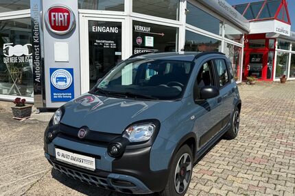 Fiat Panda Gebrauchtwagen