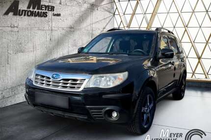 Subaru Forester Gebrauchtwagen
