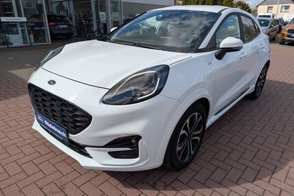 Ford Puma Gebrauchtwagen