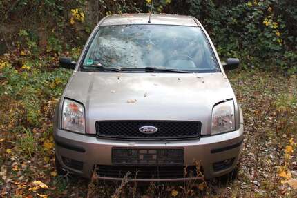 Ford Fusion Gebrauchtwagen