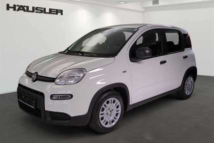 Fiat Panda Gebrauchtwagen