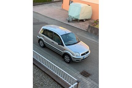 Ford Fusion Gebrauchtwagen