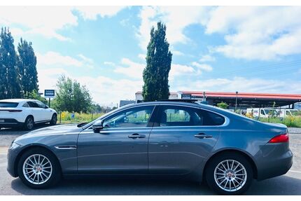 Jaguar XF Gebrauchtwagen