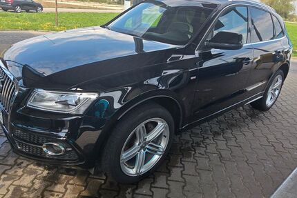 Audi Q5 Gebrauchtwagen