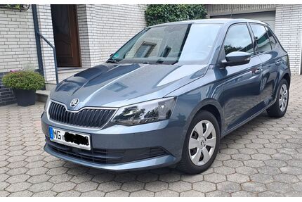 Skoda Fabia Gebrauchtwagen