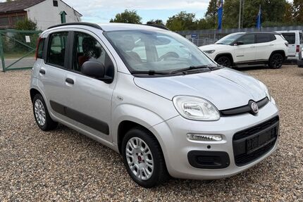 Fiat New Panda Gebrauchtwagen