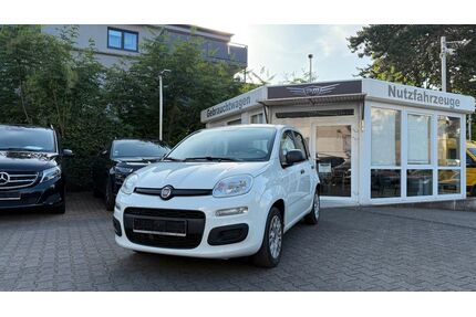 Fiat Panda Gebrauchtwagen