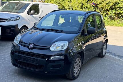 Fiat Panda Gebrauchtwagen