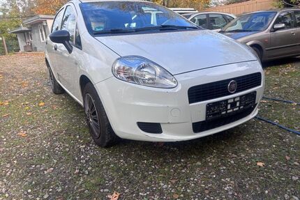 Fiat Punto Gebrauchtwagen