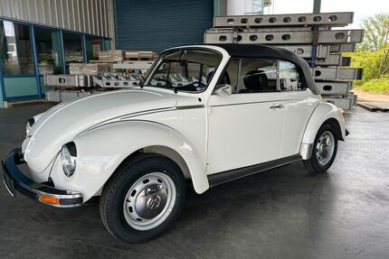VW Käfer Gebrauchtwagen