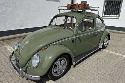 VW Käfer Gebrauchtwagen