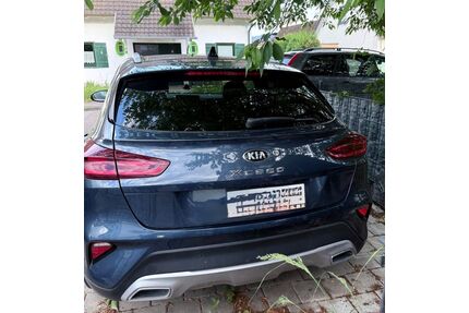 Kia XCeed Gebrauchtwagen