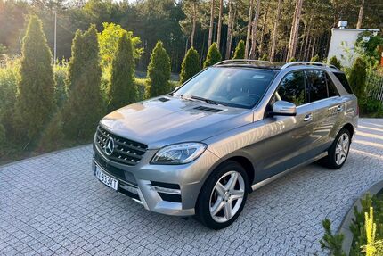 Mercedes-Benz ML 350 Gebrauchtwagen