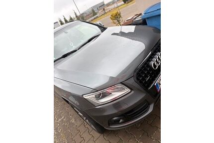 Audi Q5 Gebrauchtwagen