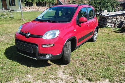 Fiat Panda Gebrauchtwagen
