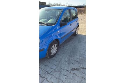 Fiat Panda Gebrauchtwagen