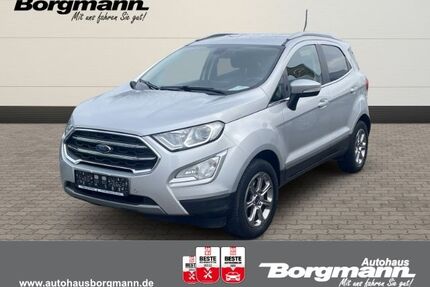 Ford EcoSport Gebrauchtwagen