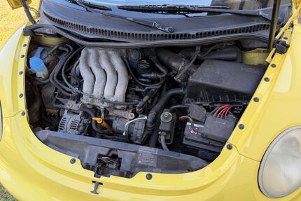 VW Beetle Gebrauchtwagen