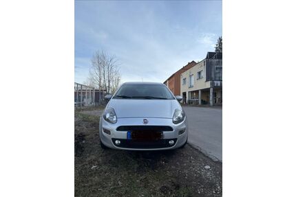 Fiat Punto Gebrauchtwagen