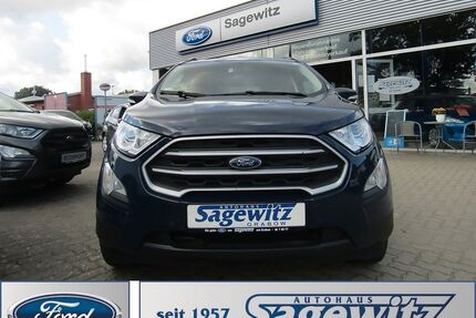 Ford EcoSport Gebrauchtwagen