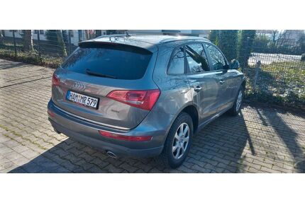 Audi Q5 Gebrauchtwagen