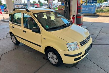 Fiat Panda Gebrauchtwagen