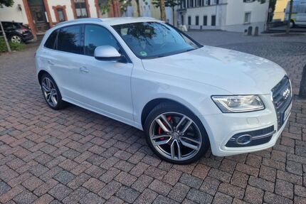 Audi SQ5 Gebrauchtwagen