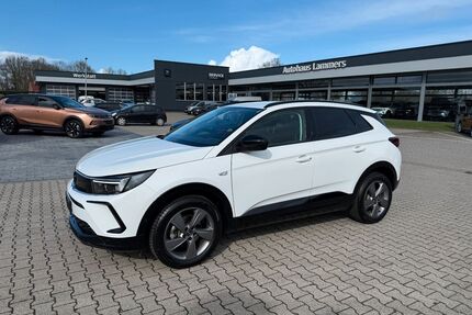 Opel Grandland (X) Gebrauchtwagen