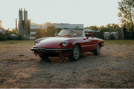 Alfa Romeo Spider Gebrauchtwagen
