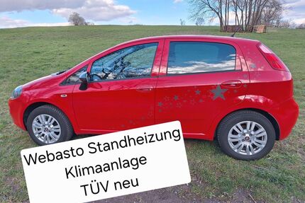 Fiat Punto Gebrauchtwagen