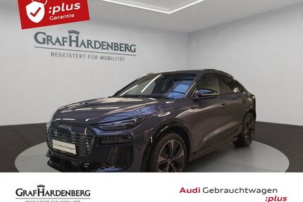 Audi Q6 e-tron Gebrauchtwagen