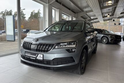 Skoda Karoq Gebrauchtwagen